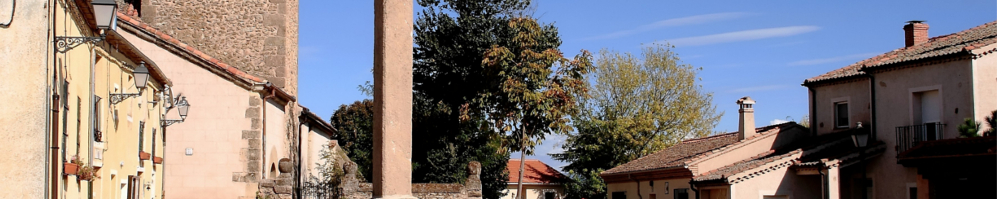 Banner de cabecera