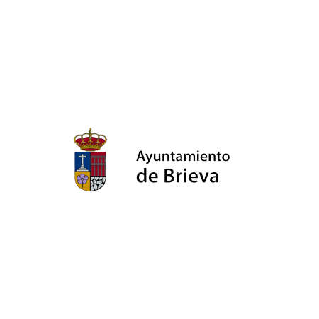 PLENO ORDINARIO